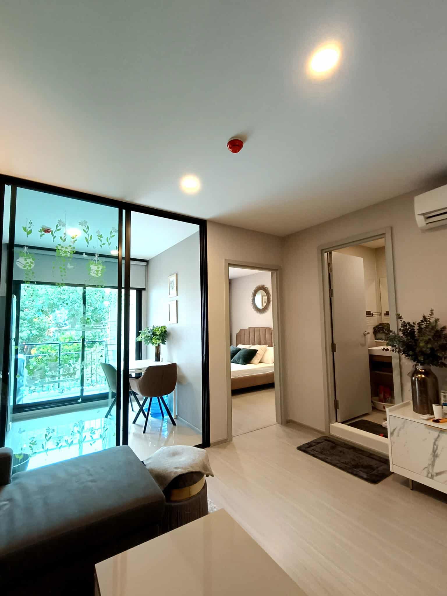 522586046_10213381061477828_6139559507033427201_n